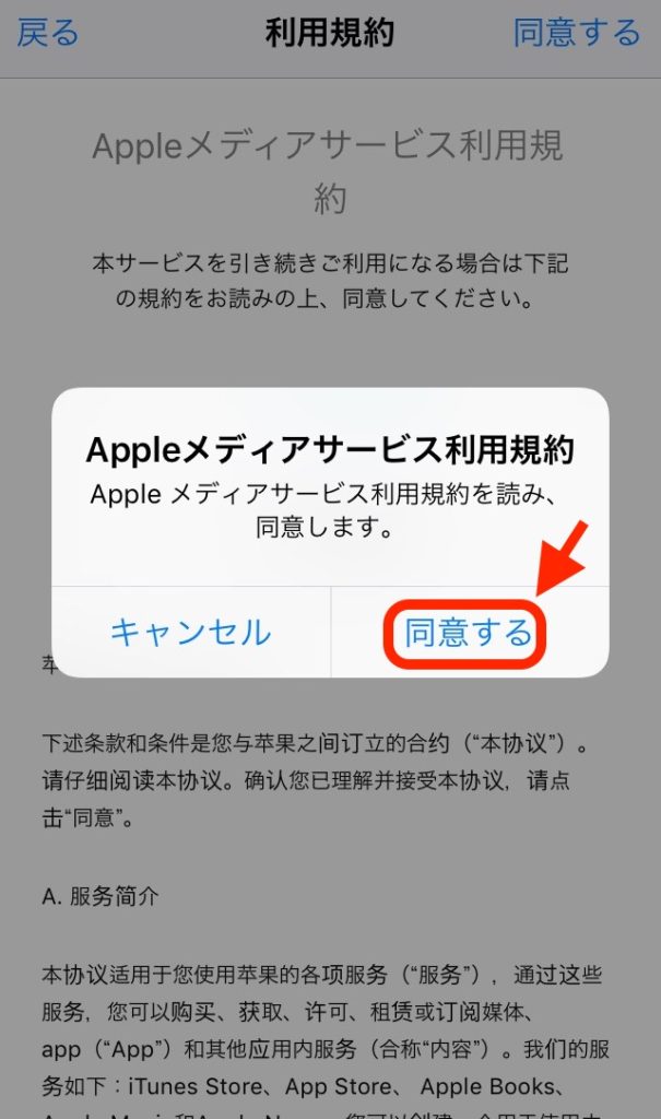 中国版TikTokのダウンロード方法（iPhone）